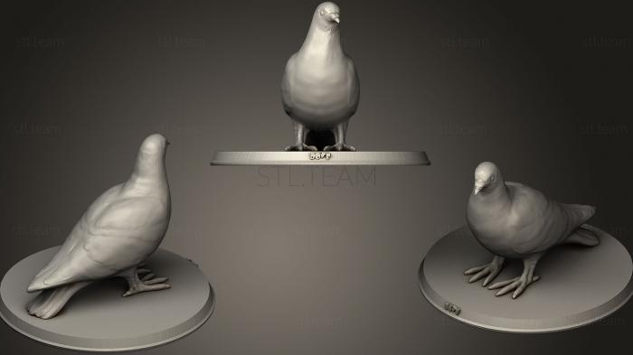 3D model Dove (STL)